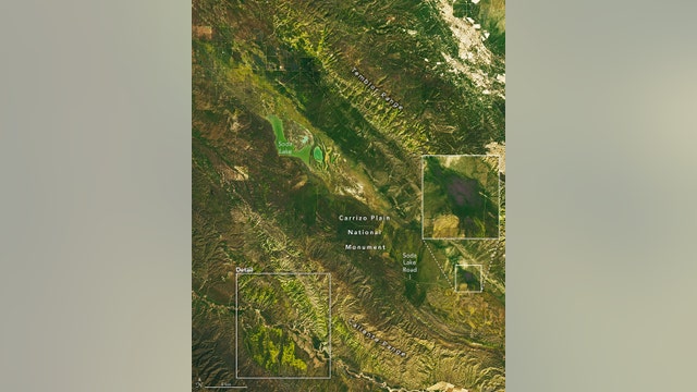 California's super bloom visible from space