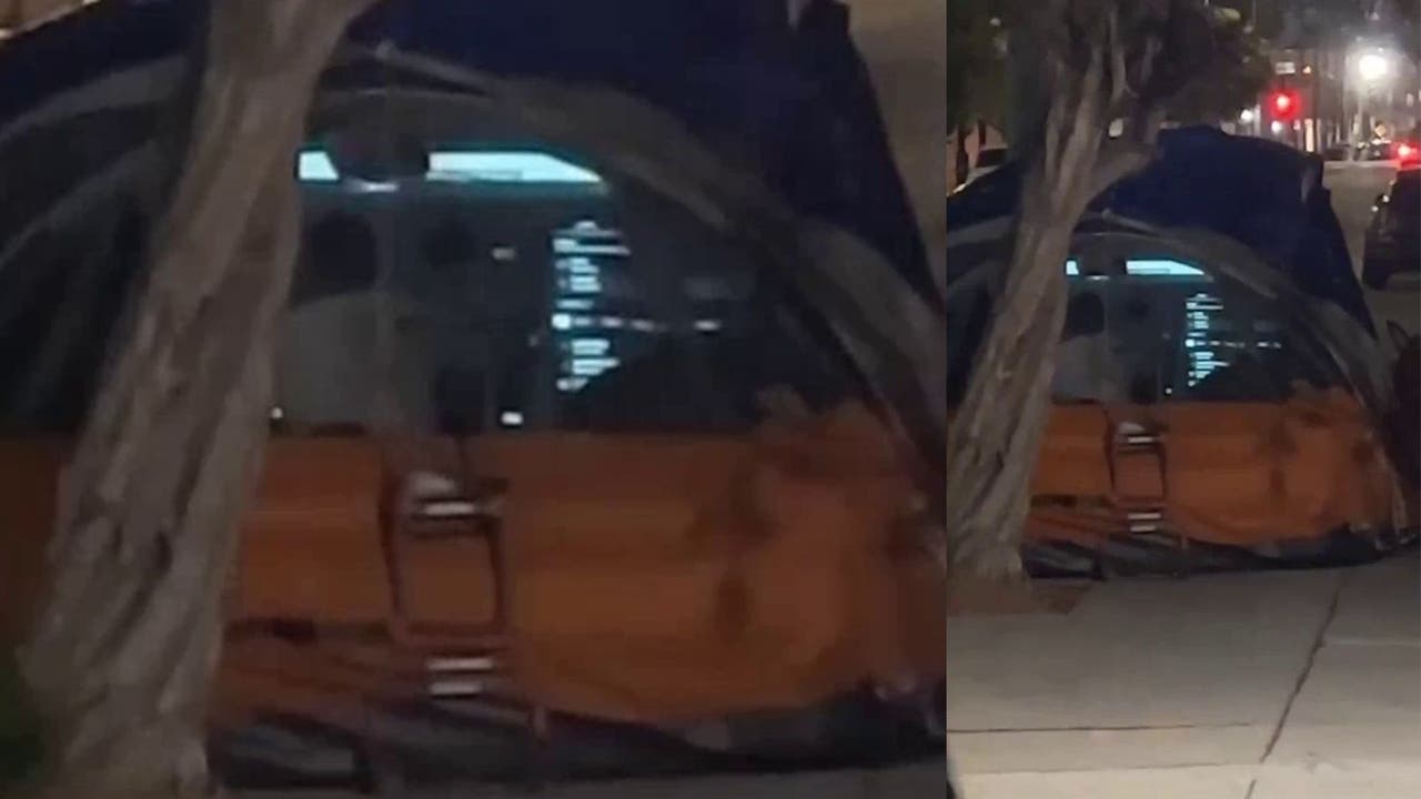 Big screen projector installed on homeless person's tent in Hollywood - Vimarsana News