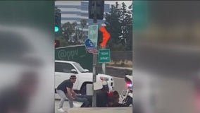 VIDEO: Good Samaritans help CHP officer struggling with suspect on Santa Ana freeway