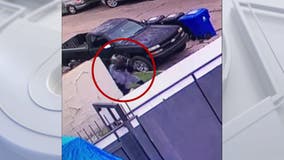 Homeless woman attacks girl on South LA sidewalk, man jumps in to help