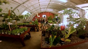 West Adams plant shop forced to move, looking for new home