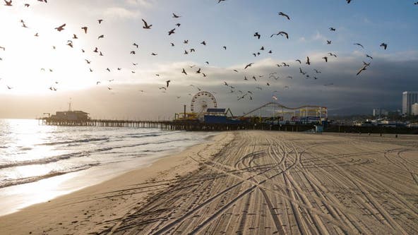 Bacteria warning issued for popular California beaches ahead of Memorial Day weekend