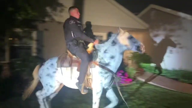 Horse runs through Burbank yards, cop rides animal back to owner