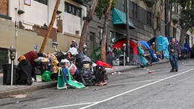 California homeless make up nearly one-third of US homeless population, new report shows
