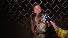 Lost dog rescued in Riverside County fire