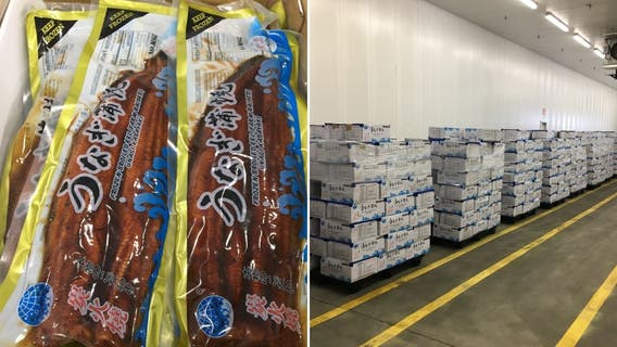 Alleged eel smuggler accused of trafficking tainted unagi from China to US