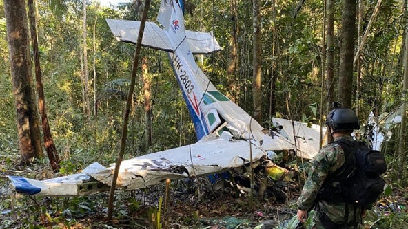 Children missing for 40 days after plane crash in Amazon jungle found alive