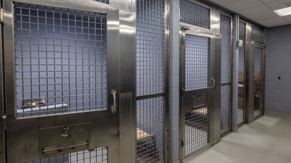 Feds bust smuggling ring: Suspects hid drugs inside their bodies to sneak contraband