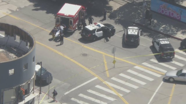 Metro bus driver stabbed in Venice, suspect arrested