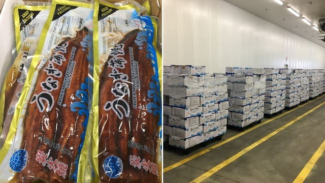 Alleged eel smuggler accused of trafficking tainted unagi from China to US