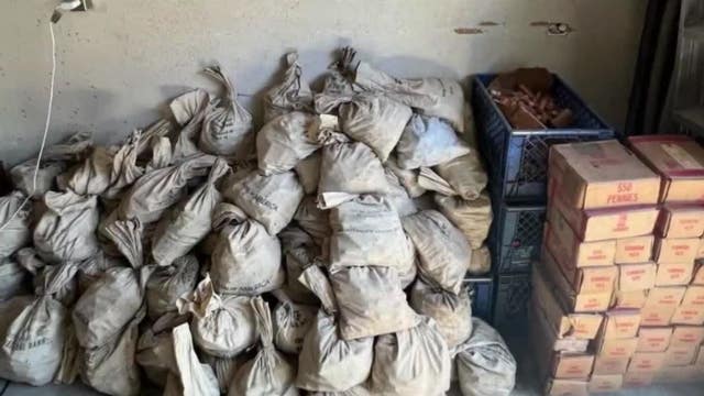 Family finds 1 million pennies while cleaning out LA home