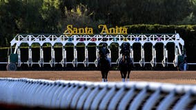Racehorse dies after training injury at Santa Anita track