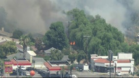Brush fire breaks out along 118 Freeway in San Fernando Valley