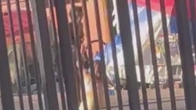 North Hollywood families say arrival of LA Family Housing brought violence, crime