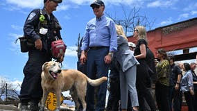 How the National Disaster Search Dog Foundation trains dogs for search and rescue missions