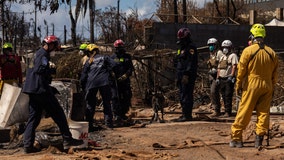 Maui confronts challenge of finding over 800 missing people after deadly wildfires