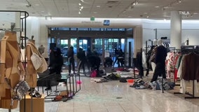 Canoga Park Nordstrom raided by 'flash mob' of 30-plus people