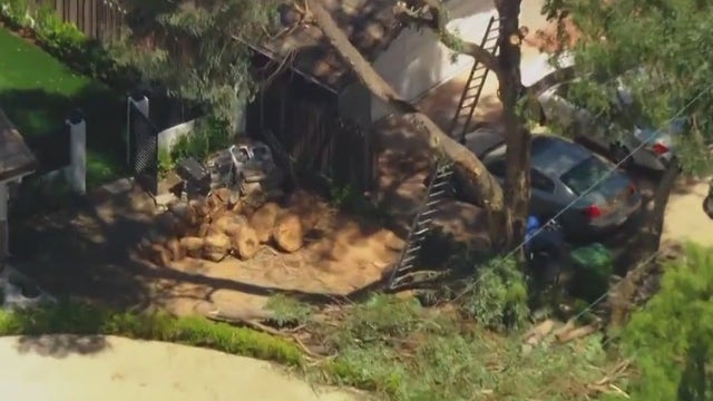 Man killed on the job while trimming trees at Agoura Hills home