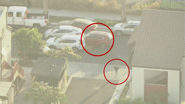 Car chase suspect jumps out of moving SUV, sprints out of crash scene near East LA