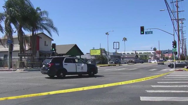 Grand theft auto suspect fatally shot by police in Los Angeles