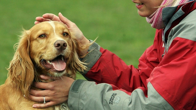 1st no-kill animal rescue opens in San Gabriel Valley