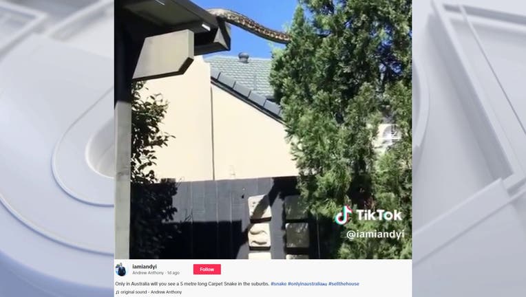 PHOTO: @iamiandyi on TikTok
