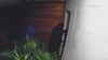 Home invasion robbery in Hollywood Hills at AirBnb