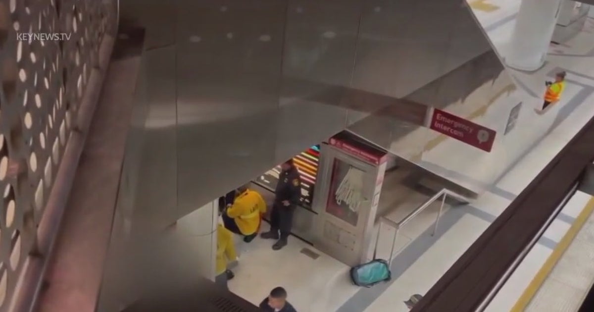 Suspect arrested in man's fatal stabbing on Metro train in downtown Los ...