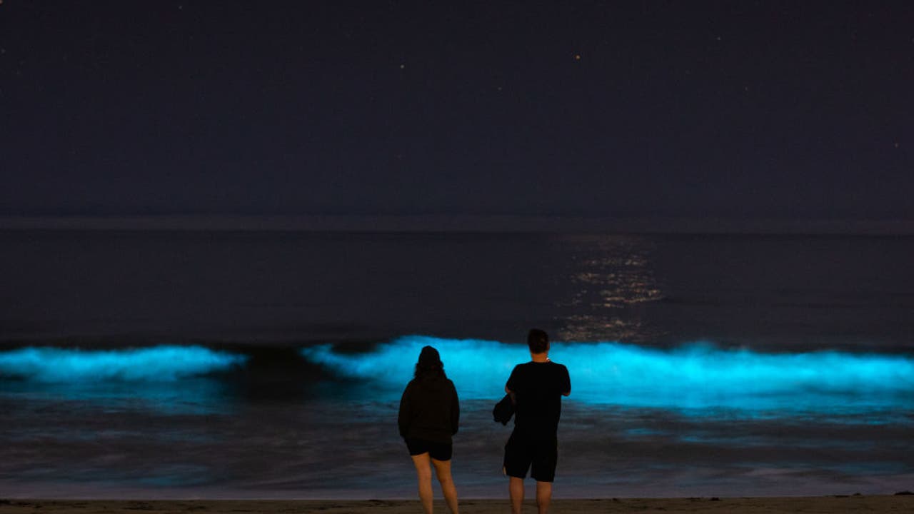 Glowing bioluminescence waves were spotted in Southern California again