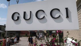 Gucci camarillo discount