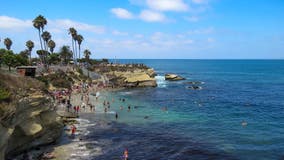 Popular Southern California beach indefinitely shut down to protect sea lions