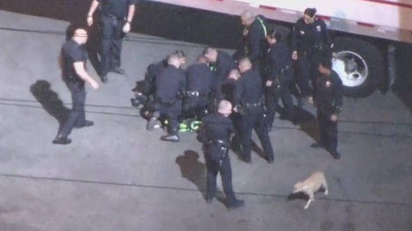 Suspect leads LAPD on brief chase in stolen golf cart with dog on his lap