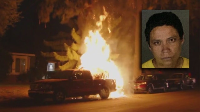 Homeless woman admits to setting 4 fires in Reseda within 72 hours