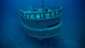 How a 128-year-old Great Lakes shipwreck was found thanks to an invasive animal