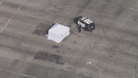 Arrest made in grisly hit-and-run crash that killed bicyclist in South LA