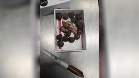 Box of giraffe poop seized at MSP Airport