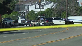Driver in Malibu crash that killed 4 Pepperdine students released on bail