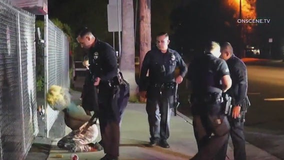 Woman released on LA's zero bail charged with arson, attempted murder following series of fires