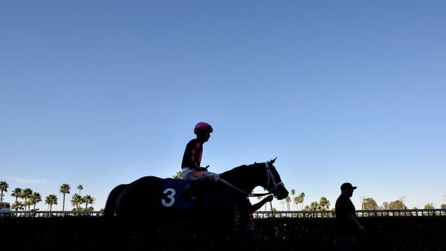 Exercise rider dies in training incident at Los Alamitos Race Course