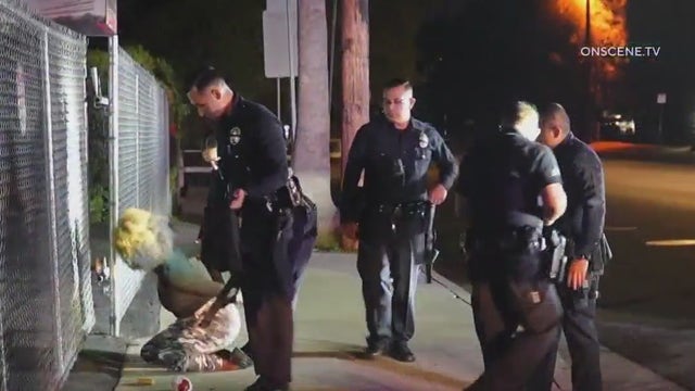 Woman released on LA's zero bail charged with arson, attempted murder following series of fires