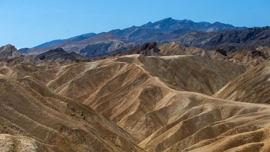 Tarantula on road in Death Valley National Park blamed for crash ...