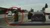 California Tesla road rage driver assaulted by inmates in Hawaii prison days after arrest for similar crimes