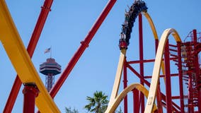 Six Flags, Knott's Berry Farm theme parks to merge