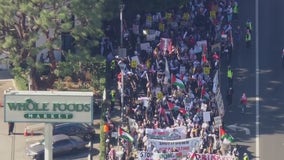 Hundreds of pro-Palestine protesters rally in Los Angeles on Black Friday