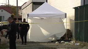 Man found shot dead in Westmont alleyway