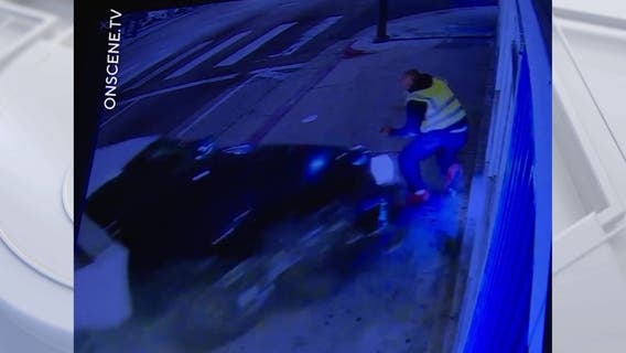 LAPD cruiser crashes into pedestrian in Exposition Park