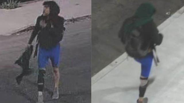 10 Freeway fire: Person of interest photos, description released by authorities