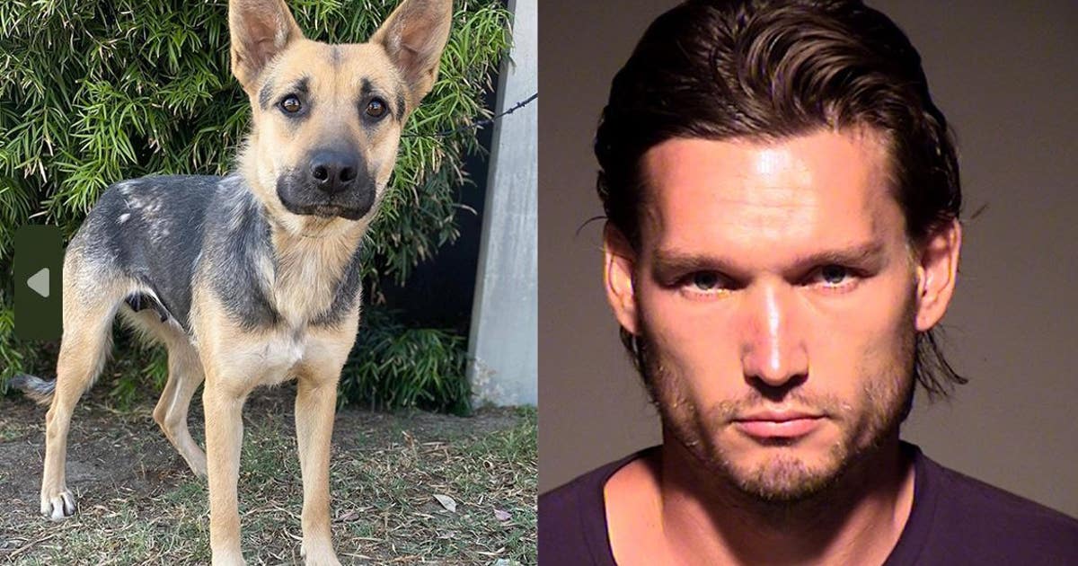 Ventura man sentenced in animal cruelty case involving death of puppy ...