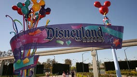 Disneyland chemical spill injures 2