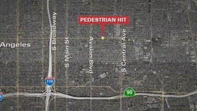 LAPD cruiser hits, kills pedestrian; Moore has 'serious concerns' about cop's driving